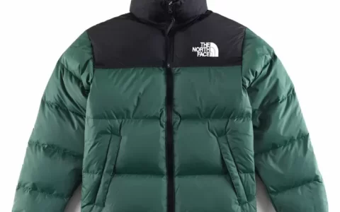 TheNorthFace北面1996羽絨服FG1996NFC